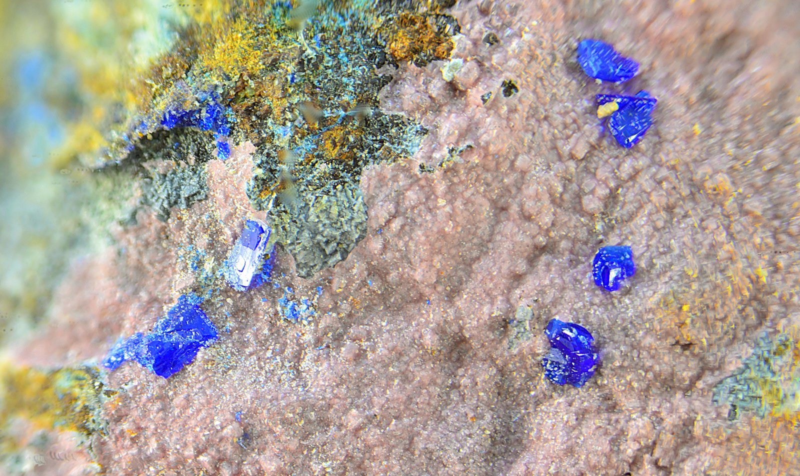 Azurita sobre Esferocobaltita
Campo de visión de 2 mm.
(Autor: Antonio Carmona)