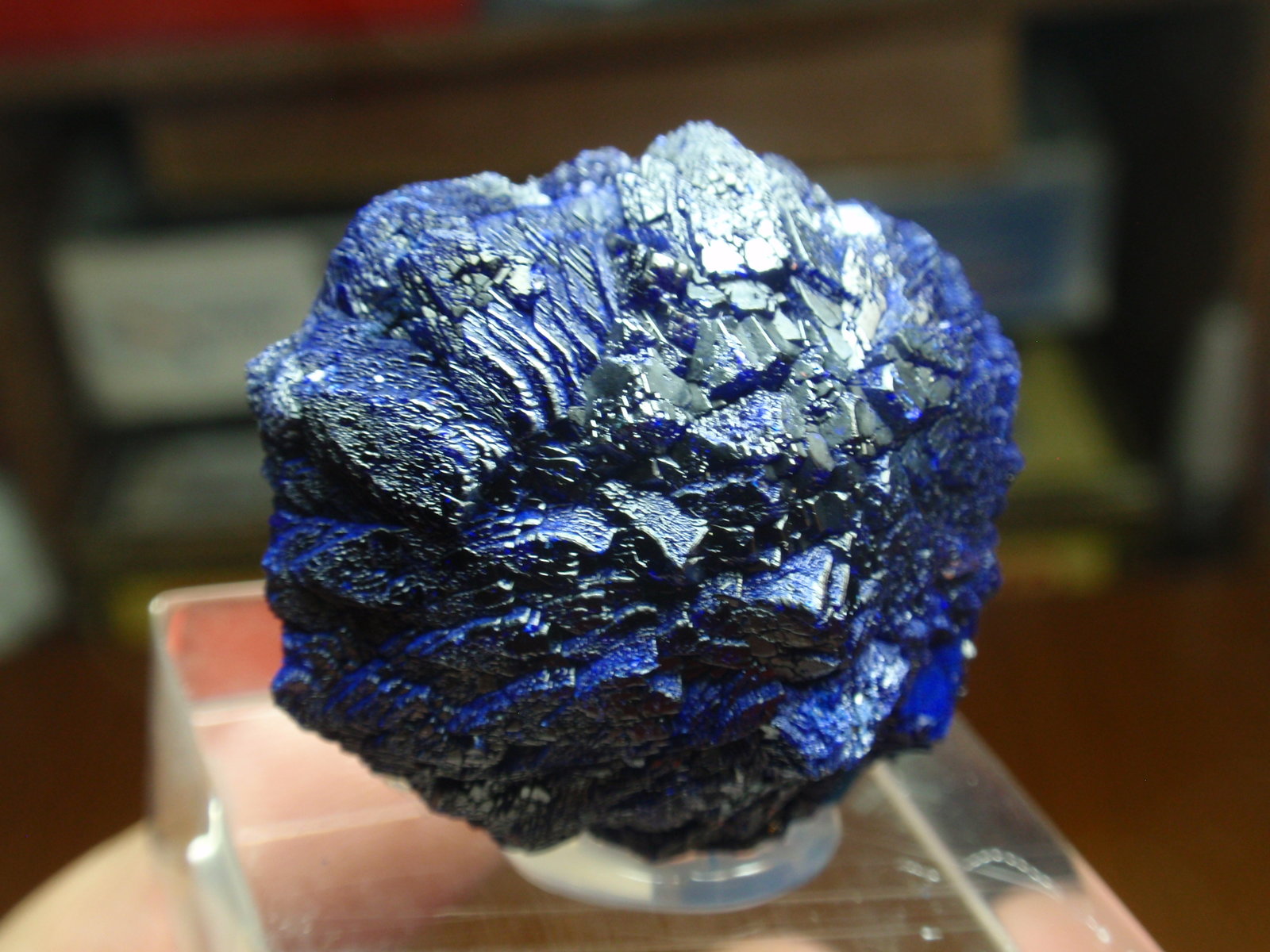 Azurita
35x30 mm
(Autor: Ignacio)