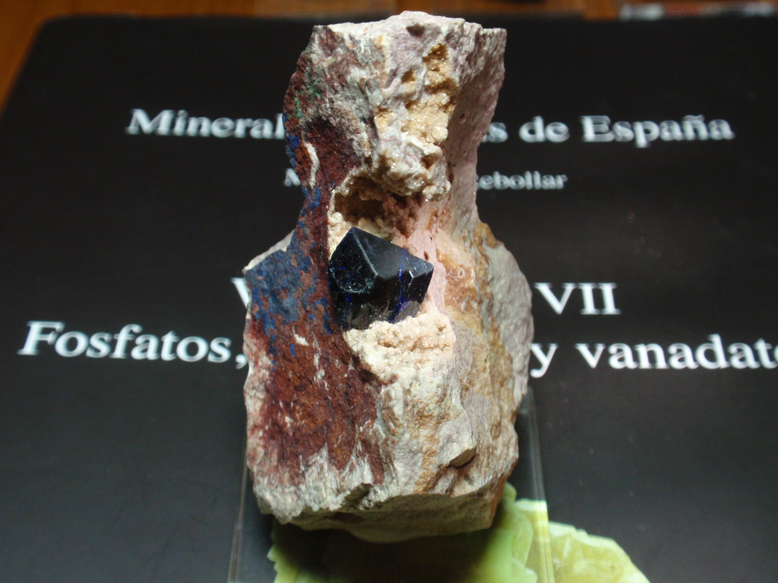 Azurita
35x60 mm
(Autor: Ignacio)