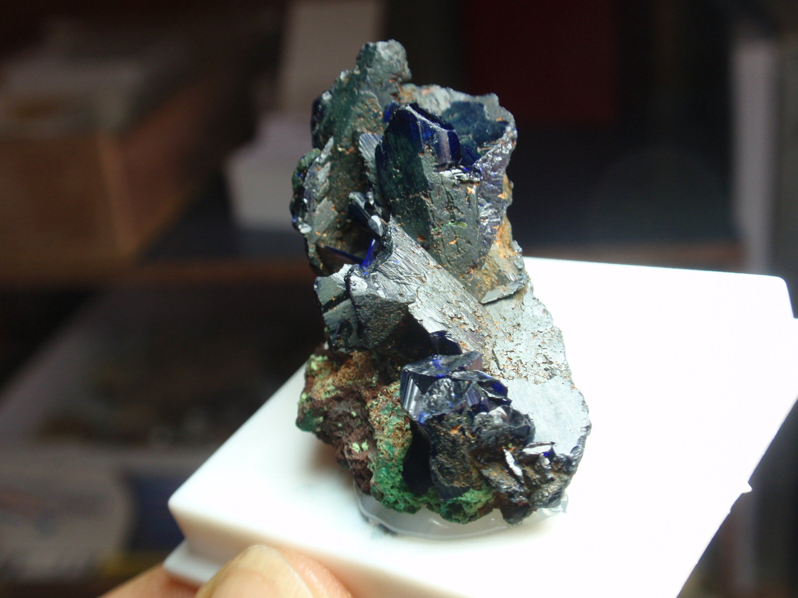 Azurita
25x30 mm
(Autor: Ignacio)