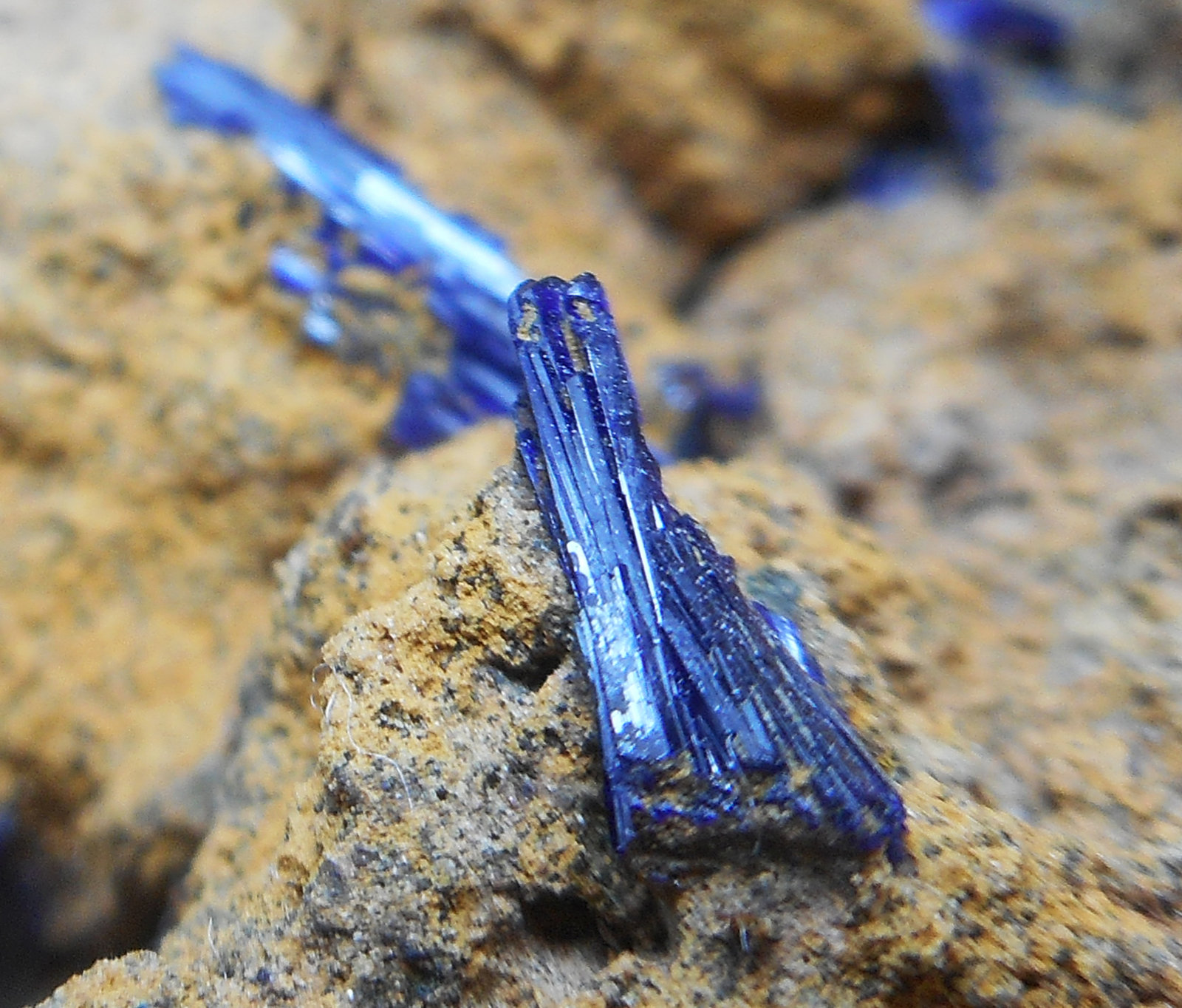 Azurita
Cristal de 6,9 mm
(Autor: Javi Llamazares)