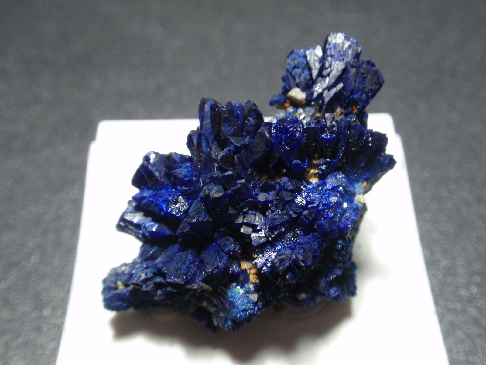 Azurita
25x25 mm
(Autor: Ignacio)