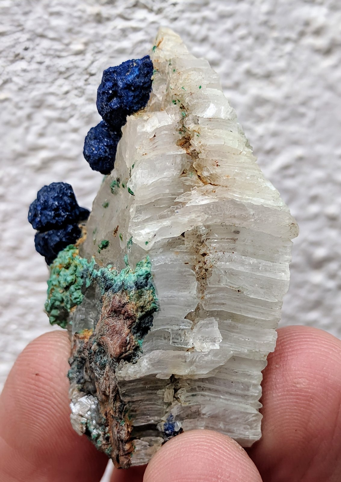 Azurita, Malaquita, Yeso
5,0 x 3,2 x 2,0 cm
(Autor: carles)