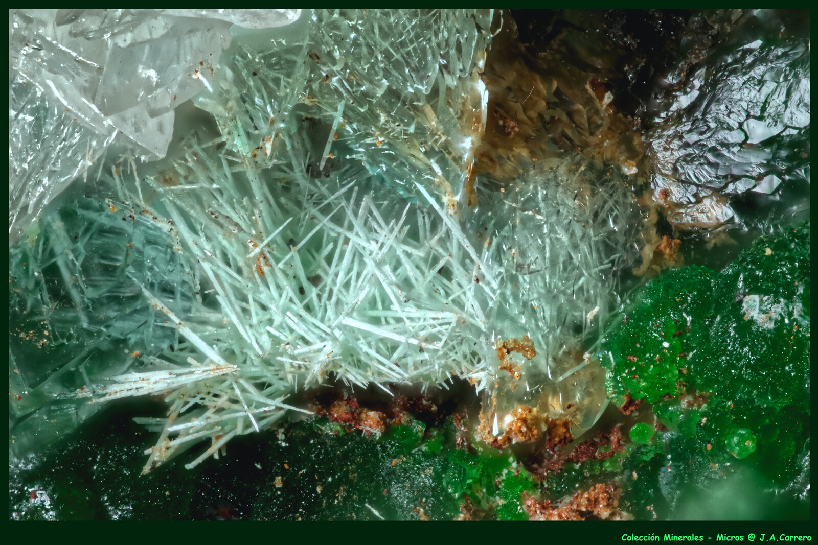 Mixita
Mina Hilarion, Zona Hilarion, Minas Kamariza, Agios Konstantinos, Distrito minero Lavrion, Prefectura Attikí (Attica), Grecia
FoV: 4 x 3 mm
(Autor: Jose Angel Carrero)