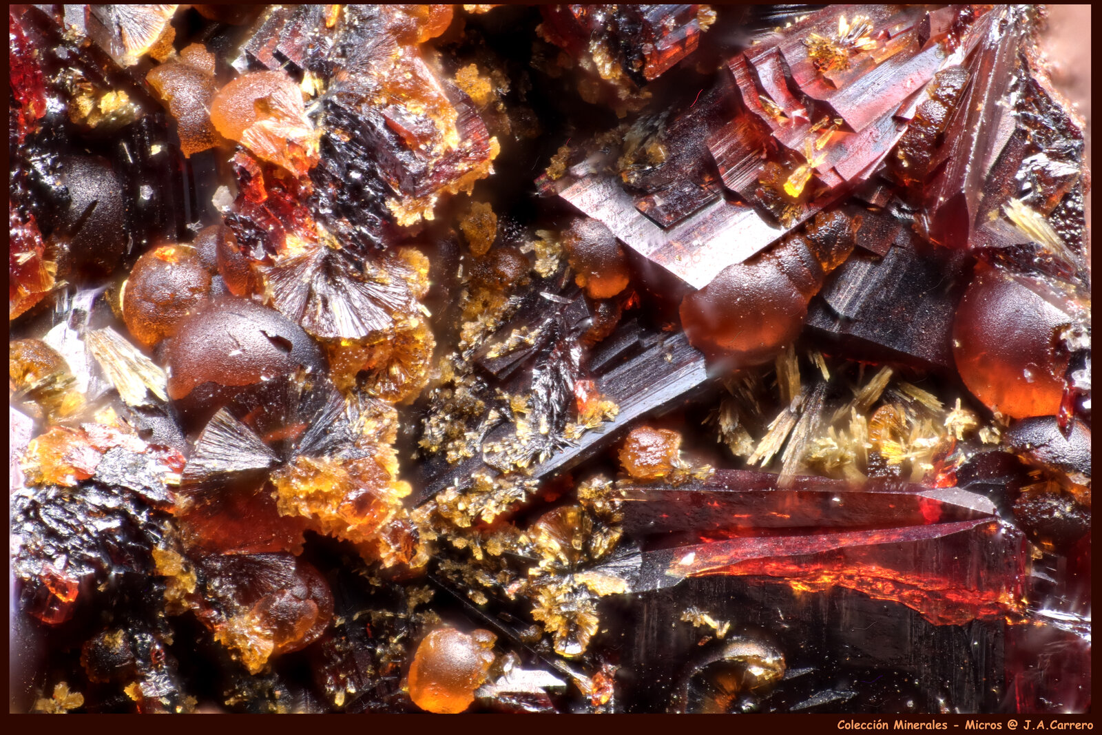 Beraunita, Cacoxenita
Mina Rotläufchen, Waldgirmes, Wetzlar, Lahn-Dill-Kreis, Región Gießen, Hesse/Hessen, Alemania
FoV: 2,5 x 1,8 mm
(Autor: Jose Angel Carrero)