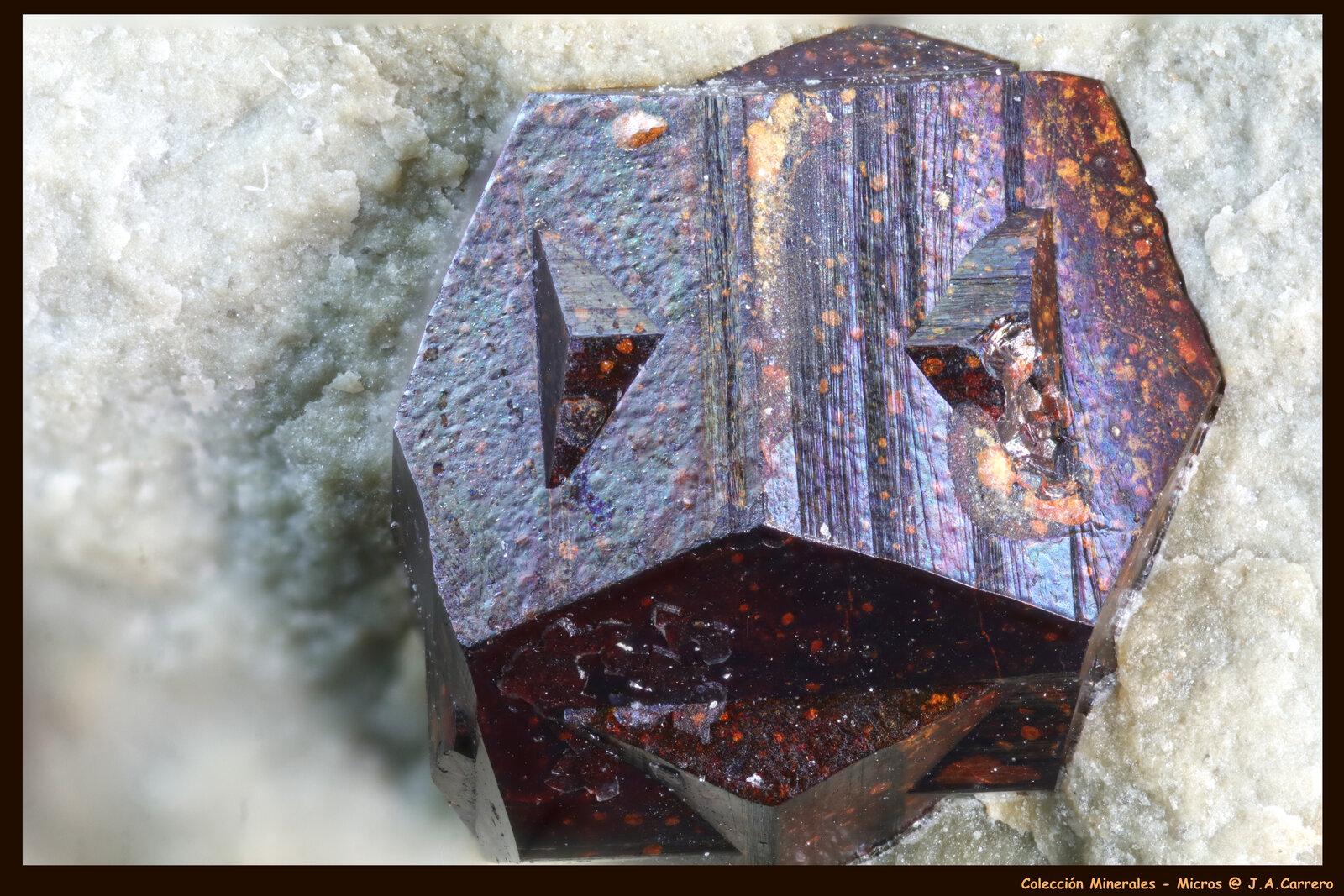 Pirita
Cantera Maibolte, Dörentrup, Lemgo, Ostwestfalen-Lippe, Renania del Norte-Westfalia/Nordrhein-Westfalen, Alemania
FoV: 4 x 3 mm
(Autor: Jose Angel Carrero)
