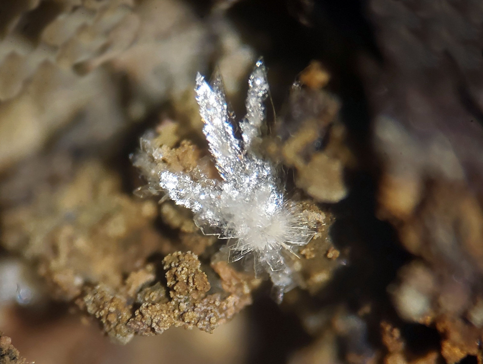 Montgomeryita
CV 4x3 mm
(Autor: Joan Niella)