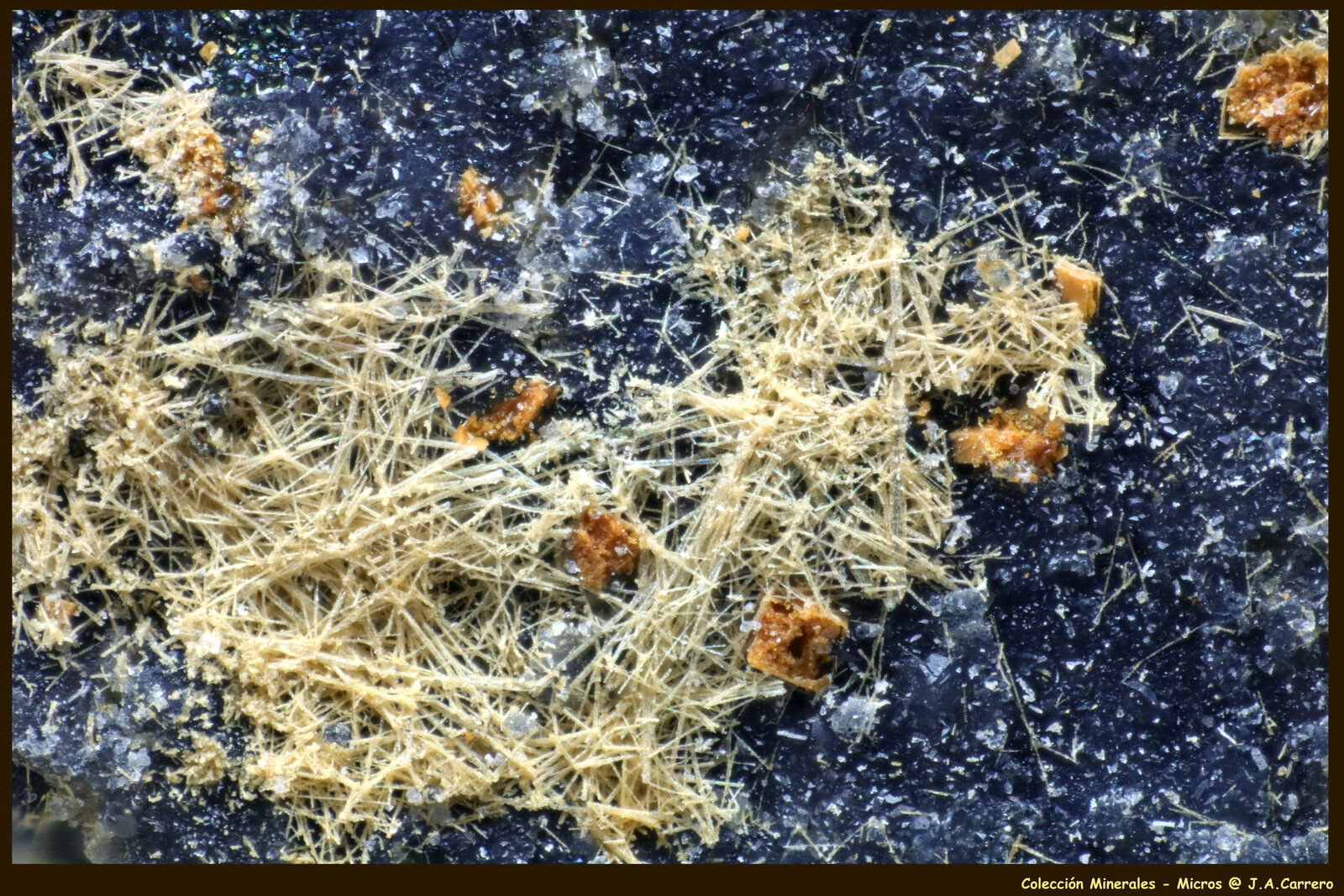 Valentinita
Caspari Mine, Uentrop, Arnsberg, Hochsauerlandkreis, Arnsberg, North Rhine-Westphalia/Nordrhein-Westfalen, Germany
FoV: 3 x 2 mm
(Autor: Jose Angel Carrero)