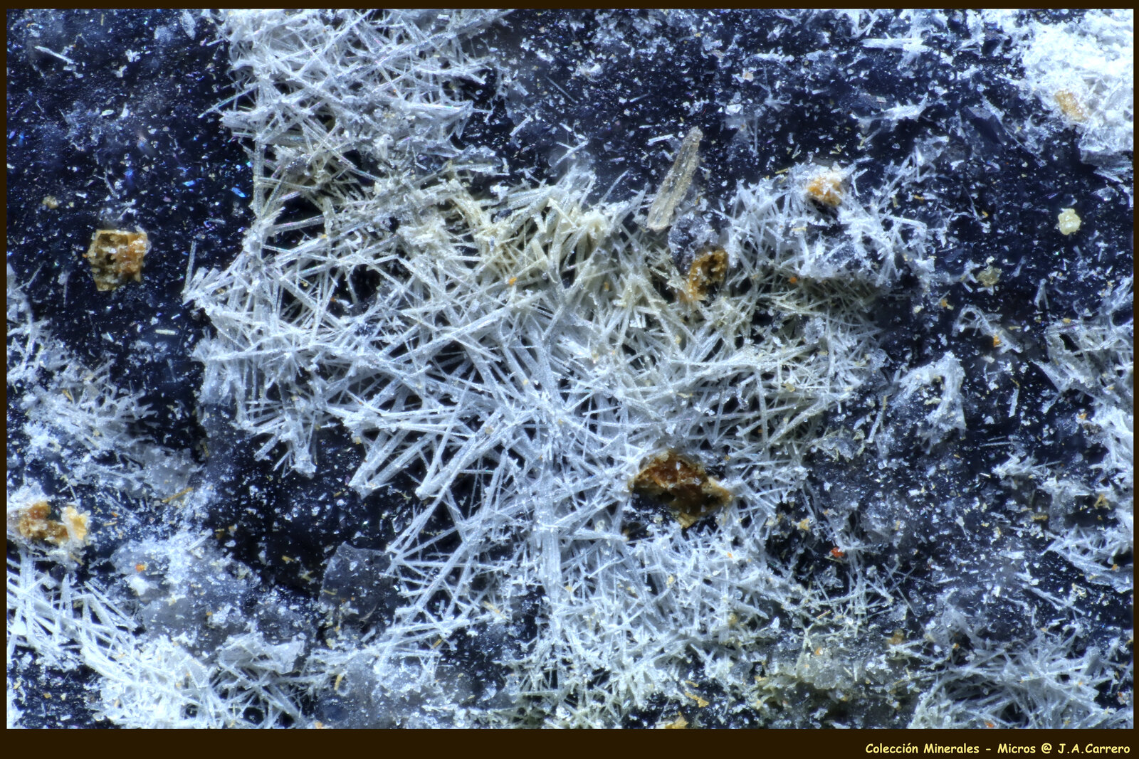 Valentinita
Caspari Mine, Uentrop, Arnsberg, Hochsauerlandkreis, Arnsberg, North Rhine-Westphalia/Nordrhein-Westfalen, Germany
FoV: 2,5 x 1,8 mm
(Autor: Jose Angel Carrero)