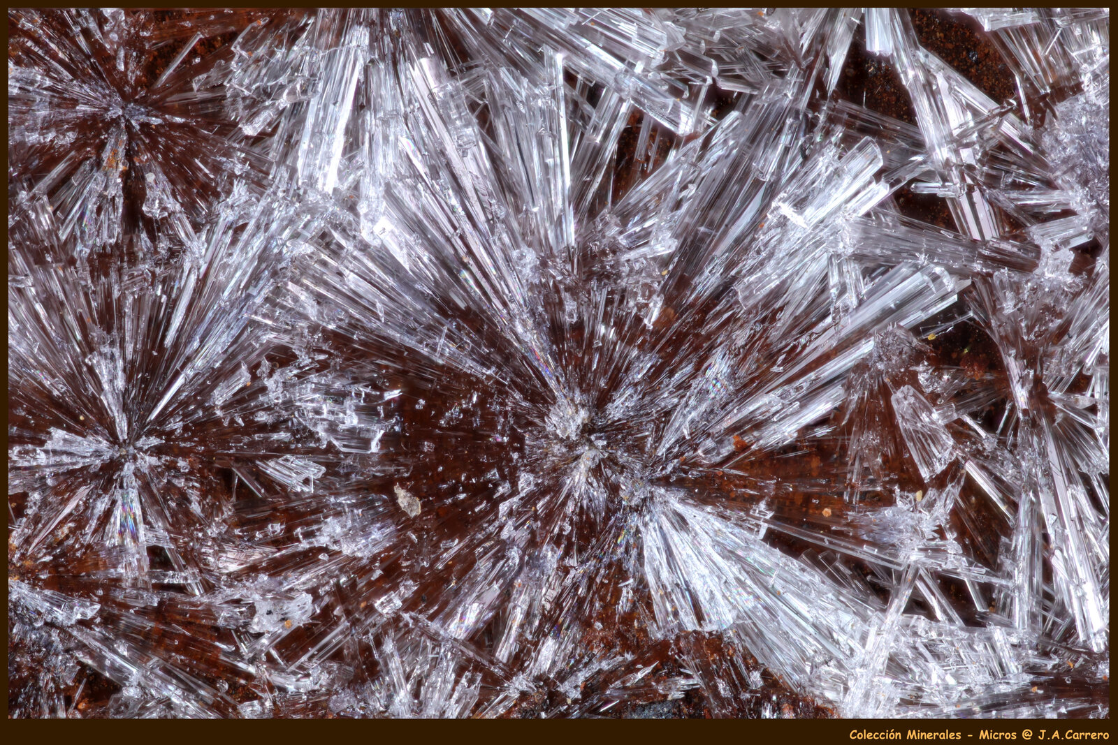 Wavellita
Mina Rotläufchen, Waldgirmes, Wetzlar, Lahn-Dill-Kreis, Región Gießen, Hesse/Hessen, Alemania
FoV: 4 x 3 mm
(Autor: Jose Angel Carrero)