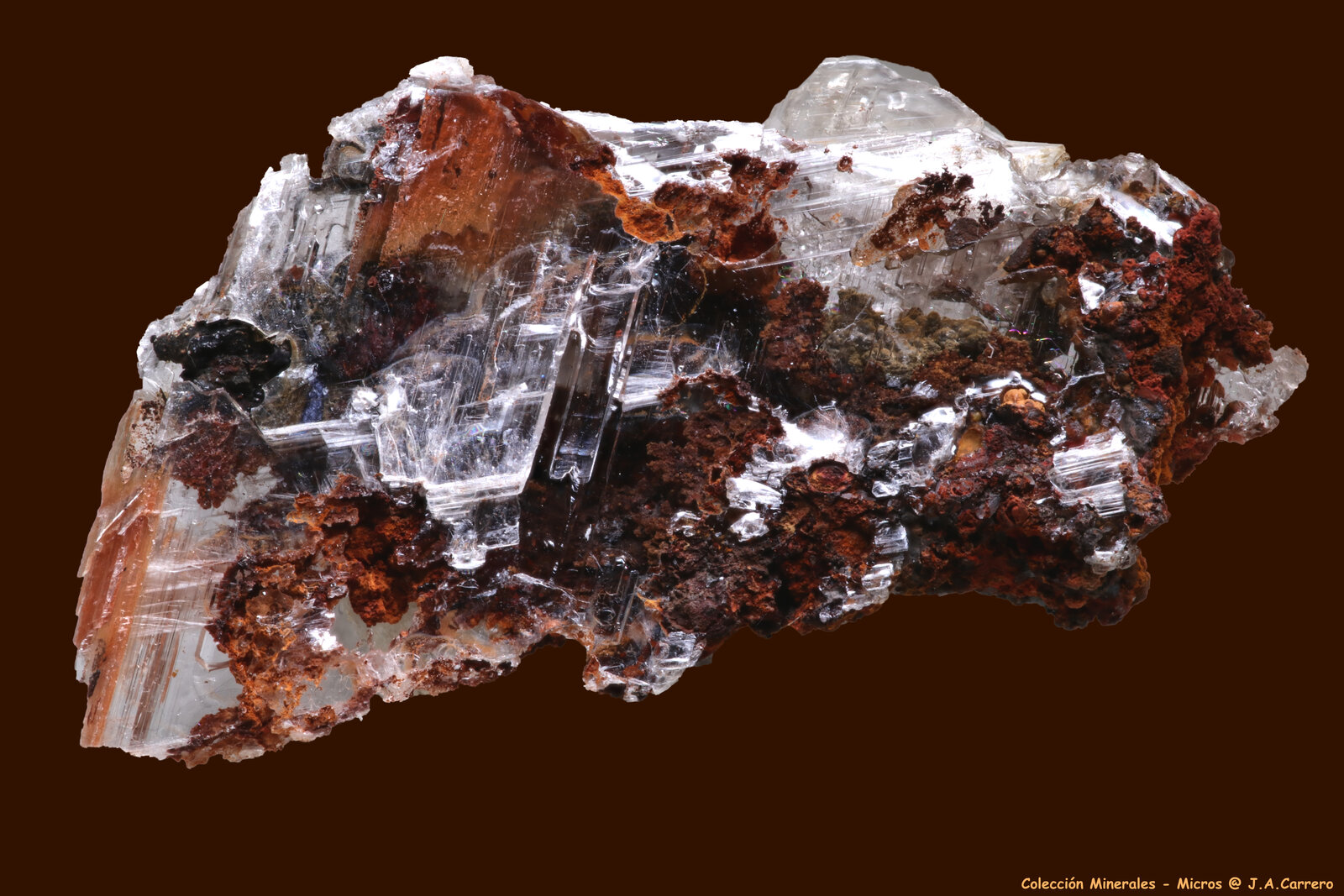 Yeso
Distrito minero Lavrion, Prefectura Attikí (Attica), Grecia
1,5 x 1 cm
(Autor: Jose Angel Carrero)