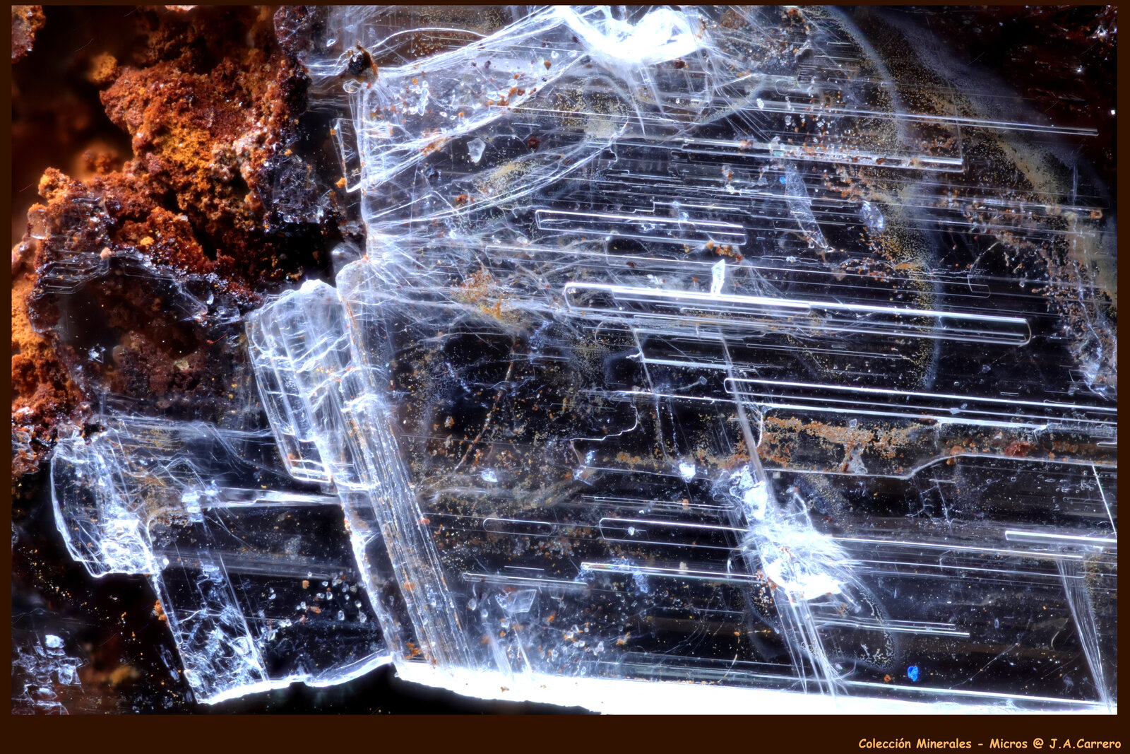 Yeso
Distrito minero Lavrion, Prefectura Attikí (Attica), Grecia
FoV: 3 x 2 mm
(Autor: Jose Angel Carrero)