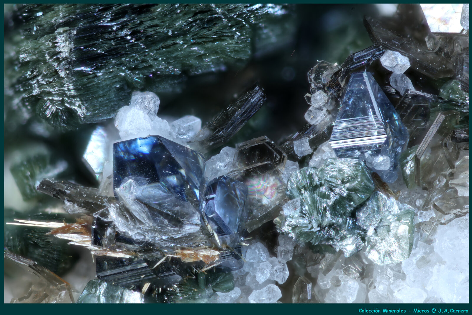 Anatasa, Clinocloro, Rutilo y Moscovita
Ponte Silogno, Valle Antigorio, Baceno, Provincia Verbano-Cusio-Ossola, Piamonte (Piemonte), Italia
FoV: 4 x 3 mm
(Autor: Jose Angel Carrero)