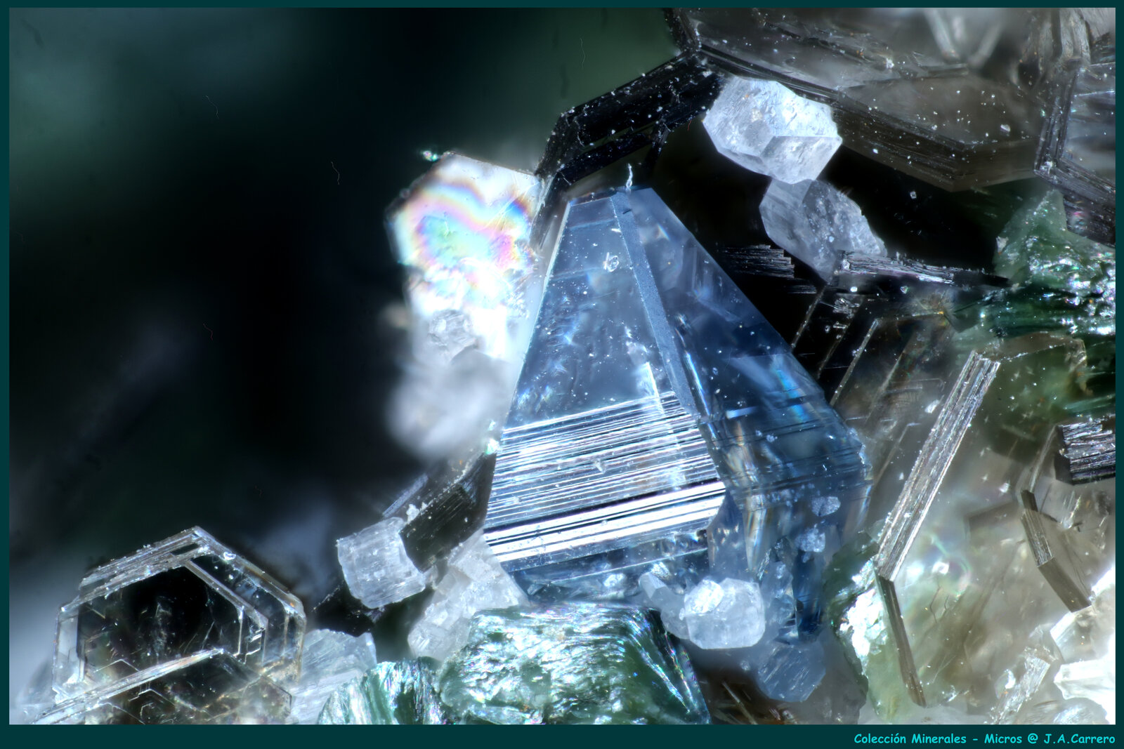 Anatasa, Moscovita, Clinocloro
Ponte Silogno, Valle Antigorio, Baceno, Provincia Verbano-Cusio-Ossola, Piamonte (Piemonte), Italia
FoV: 2 x 1,3 mm
(Autor: Jose Angel Carrero)