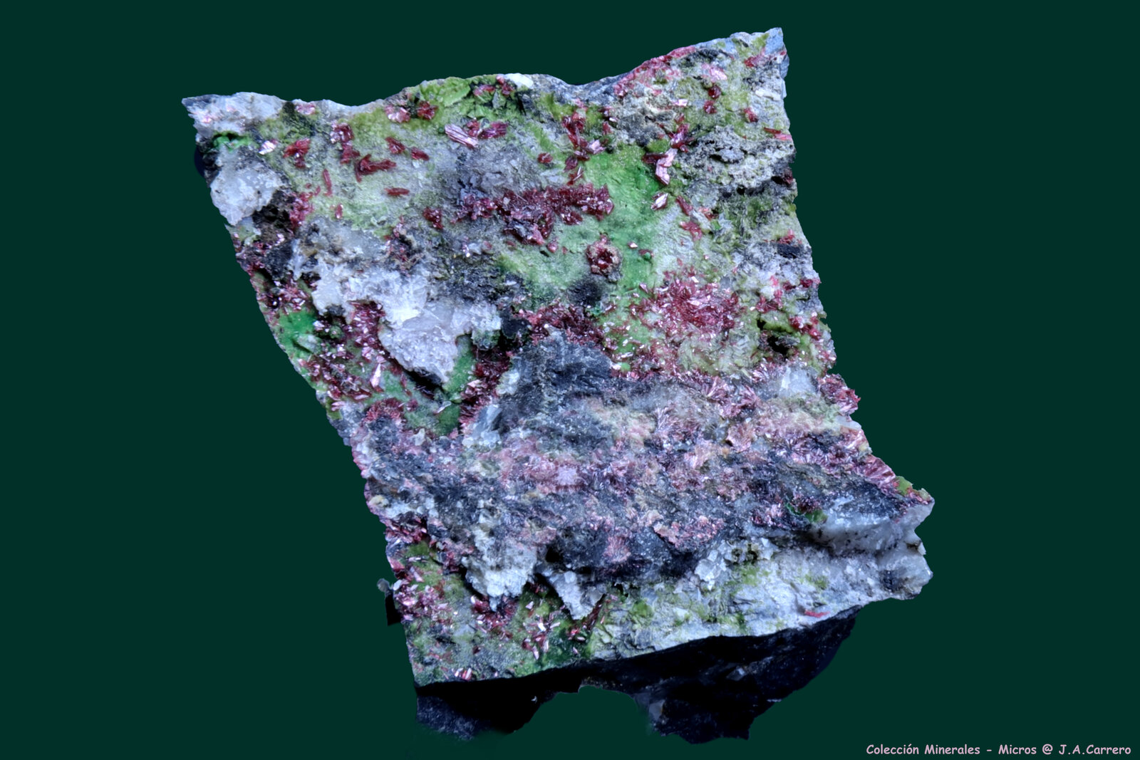 Eritrina, Conicalcita
Concesión La Cena del Depósito, Huércal-Overa, Comarca Levante Almeriense, Almería, Andalucía, España
4 x 3,5 x 2,5 cm
(Autor: Jose Angel Carrero)
