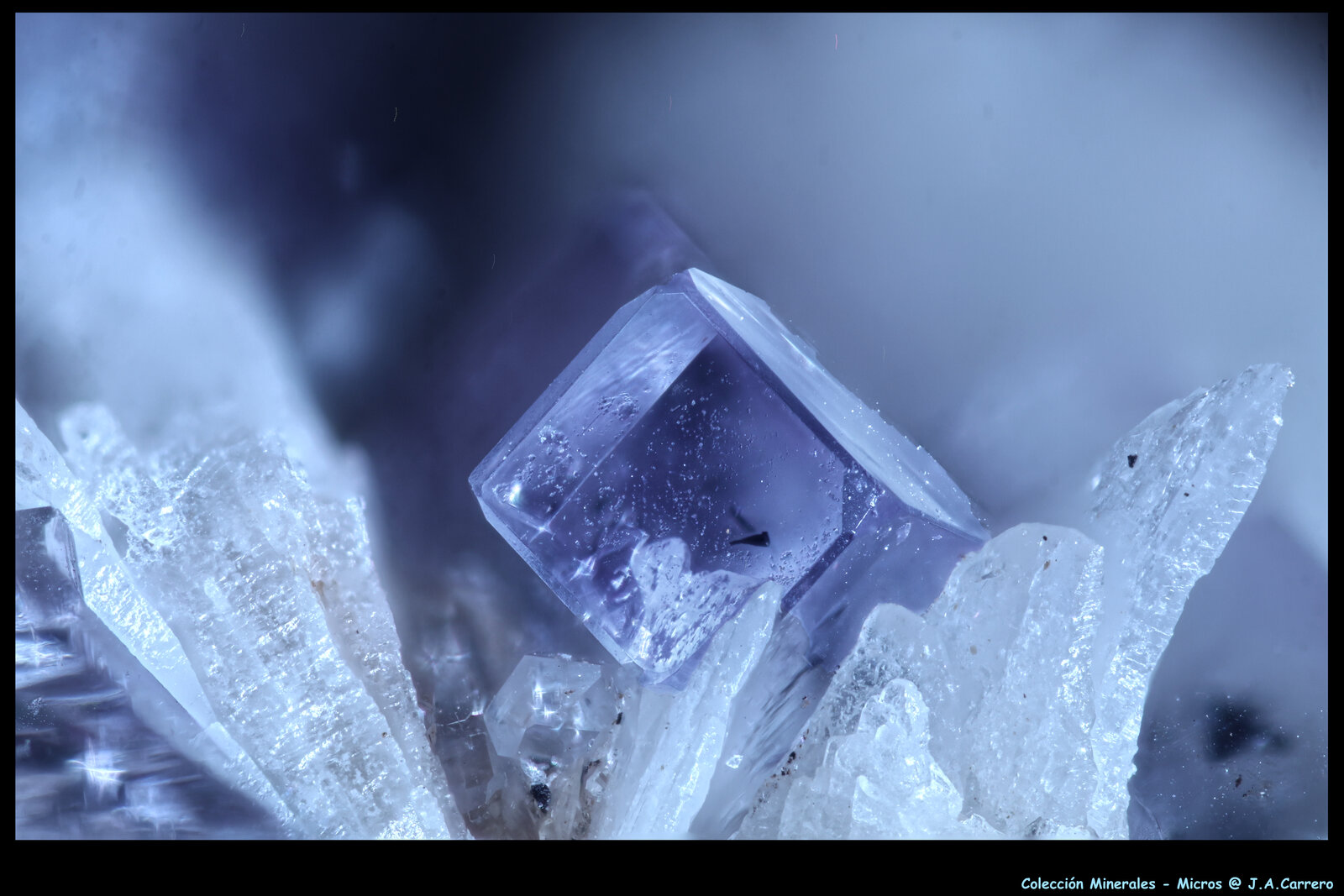 Fluorita, Barita
Berbes mining area, Berbes, Ribadesella, Comarca del Oriente, Principality of Asturias (Asturias), Spain
FoV: 5 x 3,5 mm
(Autor: Jose Angel Carrero)