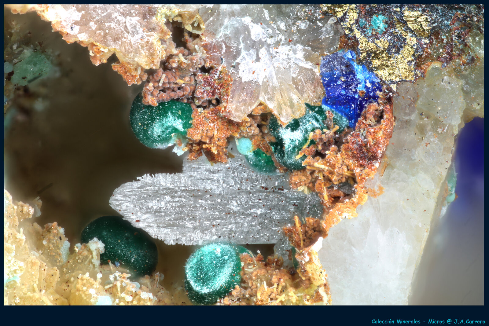 Cerusita, Malaquita, Linarita, Calcopirita
Puechiguier, Najac, Villefranche-de-Rouergue, Aveyron, Occitanie, Francia
FoV: 2 x 1,3 mm
(Autor: Jose Angel Carrero)