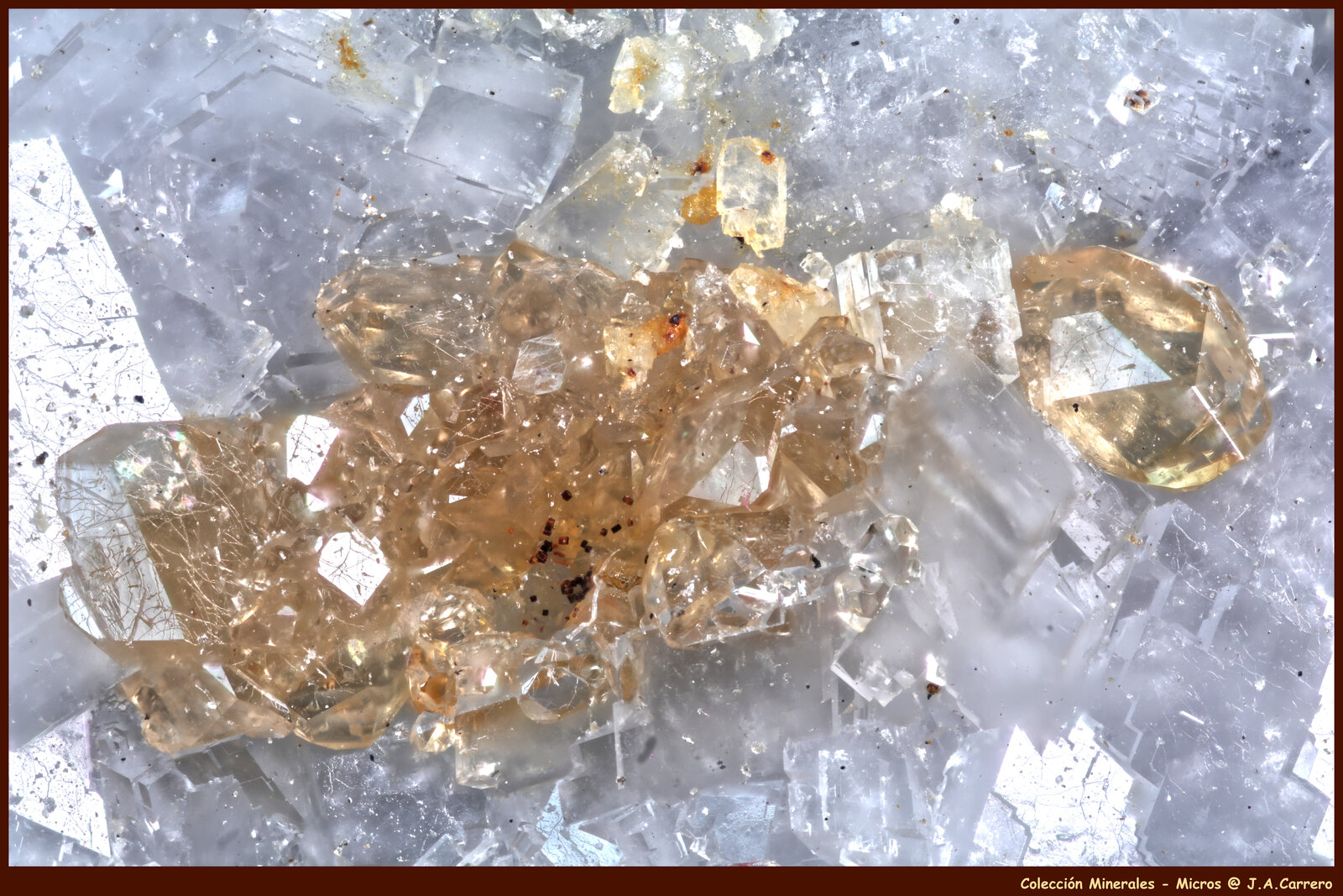 Monacita-(Ce) sobre Dolomita
Mina Trimouns, Luzenac, Haute-Ariège, Foix, Departamento Ariège, Occitanie, Francia
FoV: 10 x 7 mm
(Autor: Jose Angel Carrero)