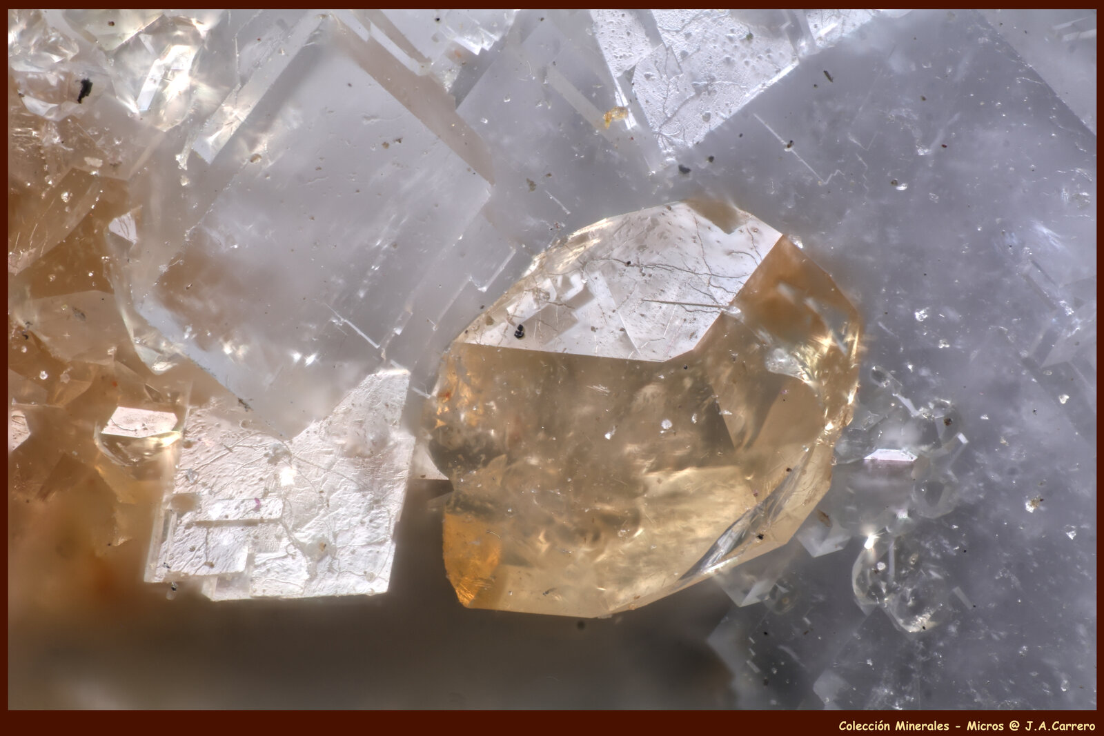 Monacita-(Ce)
Mina Trimouns, Luzenac, Haute-Ariège, Foix, Departamento Ariège, Occitanie, Francia
FoV: 2,5 x 1,8 mm
(Autor: Jose Angel Carrero)