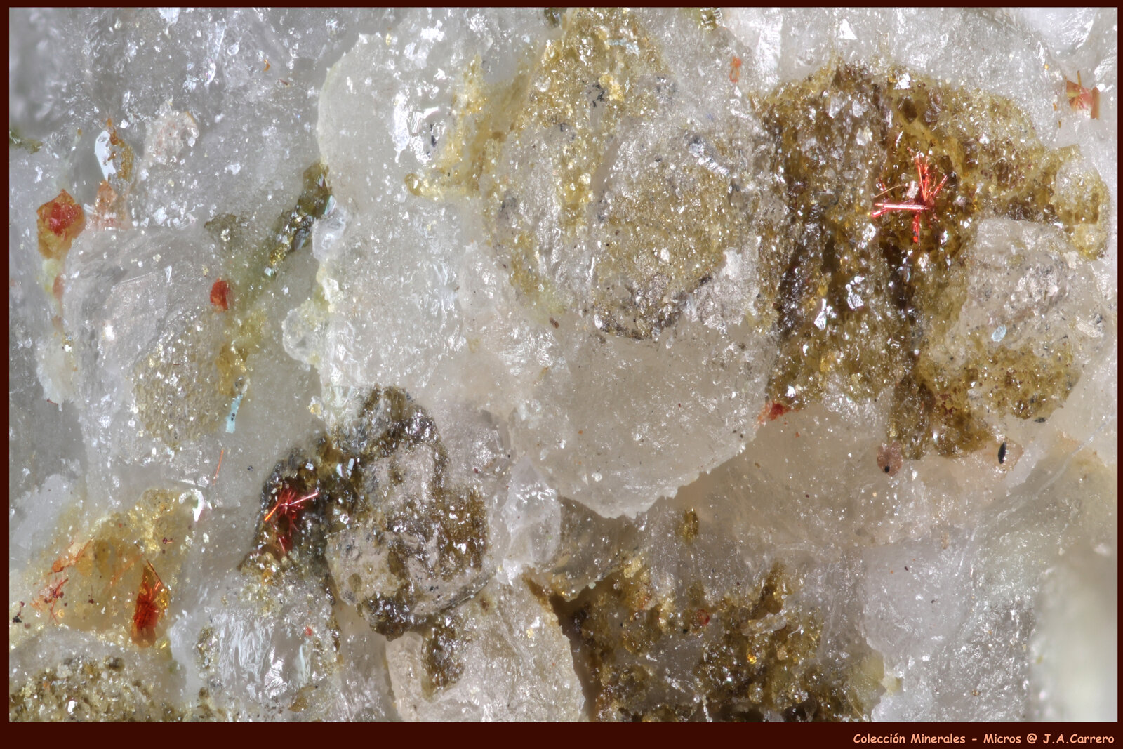 Perroudita
Mina Cap Garonne, Le Pradet, Toulon, Var, Provence-Alpes-Côte d'Azur, Francia
FoV: 2,5 x 1,8 mm
(Autor: Jose Angel Carrero)