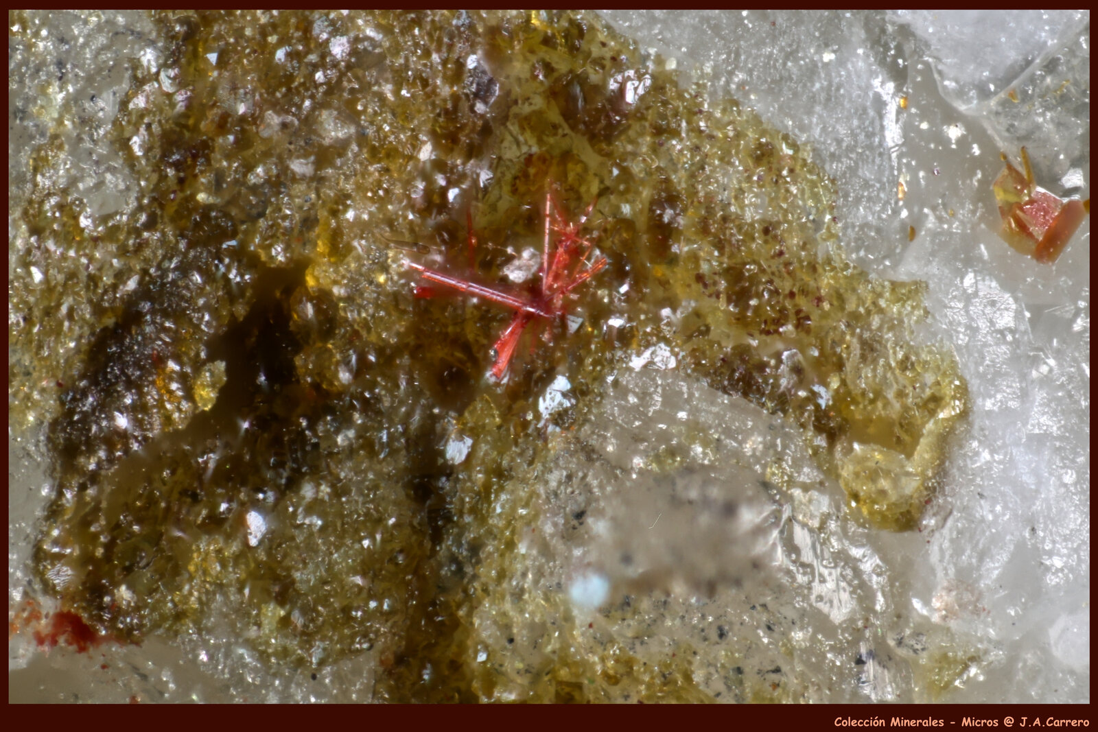 Perroudita
Mina Cap Garonne, Le Pradet, Toulon, Var, Provence-Alpes-Côte d'Azur, Francia
FoV: 1 x 0,7 mm
(Autor: Jose Angel Carrero)