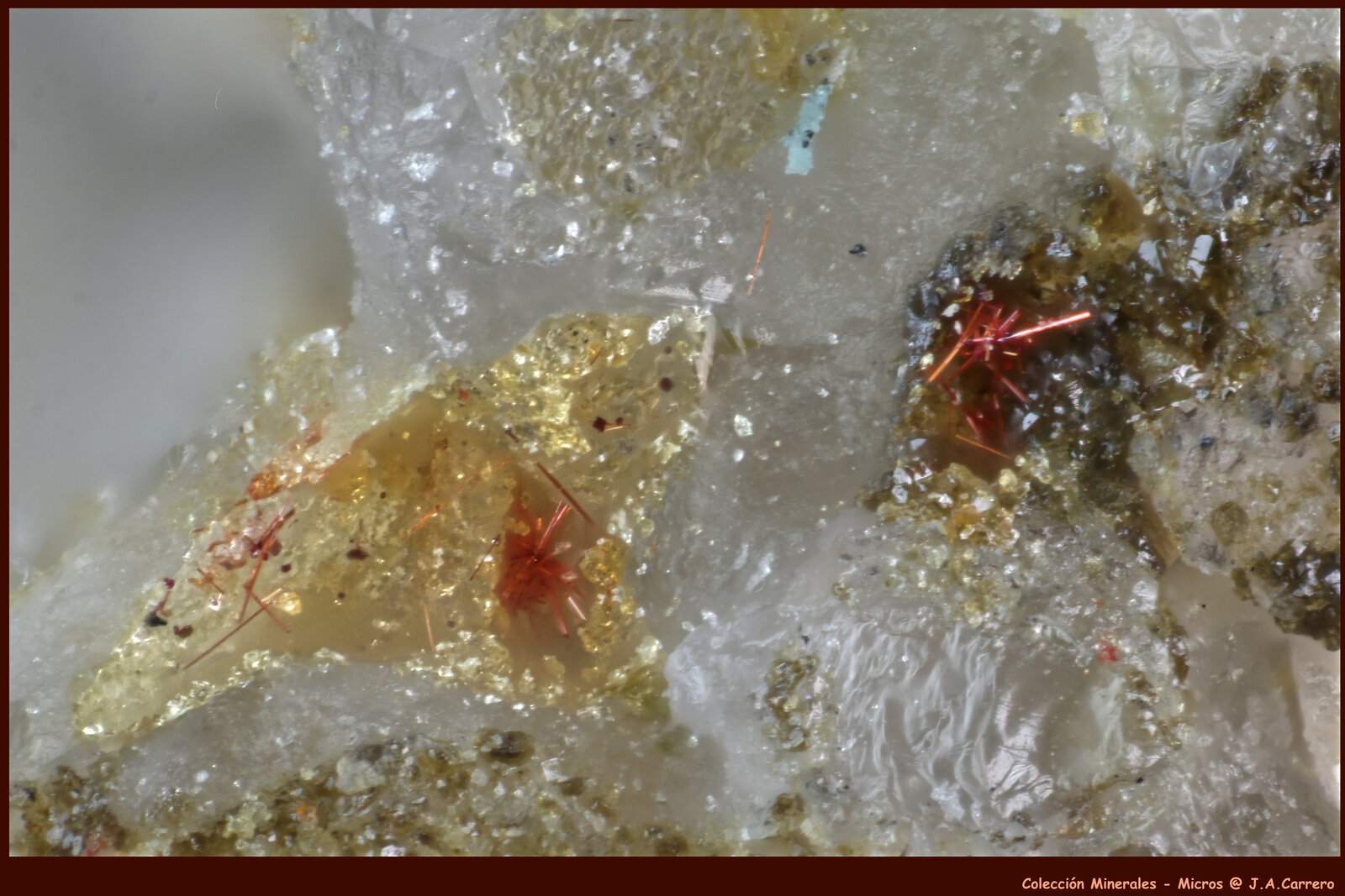 Perroudita
Mina Cap Garonne, Le Pradet, Toulon, Var, Provence-Alpes-Côte d'Azur, Francia
FoV: 1 x 0,7 mm
(Autor: Jose Angel Carrero)