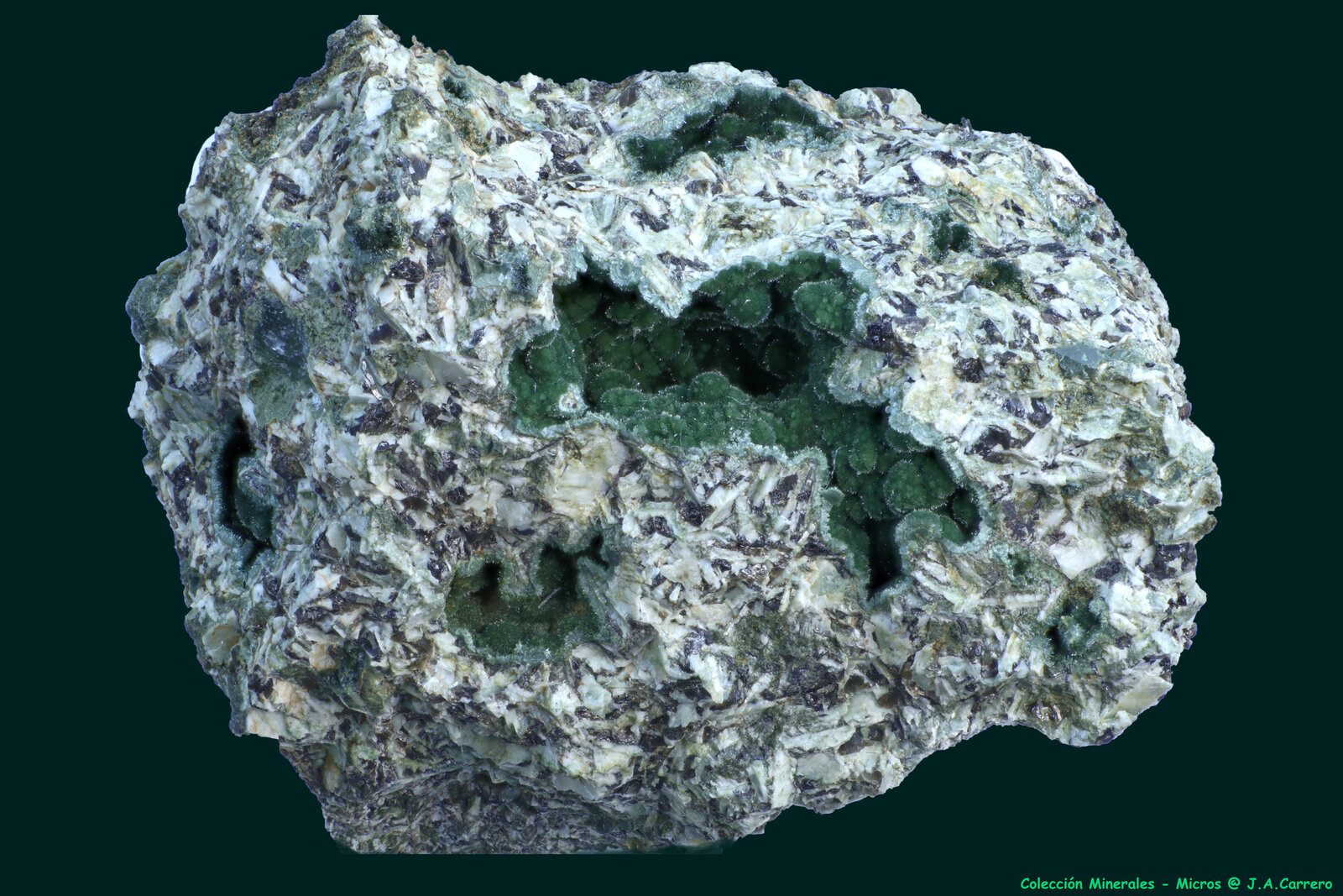 Pumpellyita
Creag Brimishgan, Loch na Keal, Isle of Mull, Hébridas Interiores, Argyll and Butte, Escocia / Reino Unido
3 x 2,5 cm
(Autor: Jose Angel Carrero)