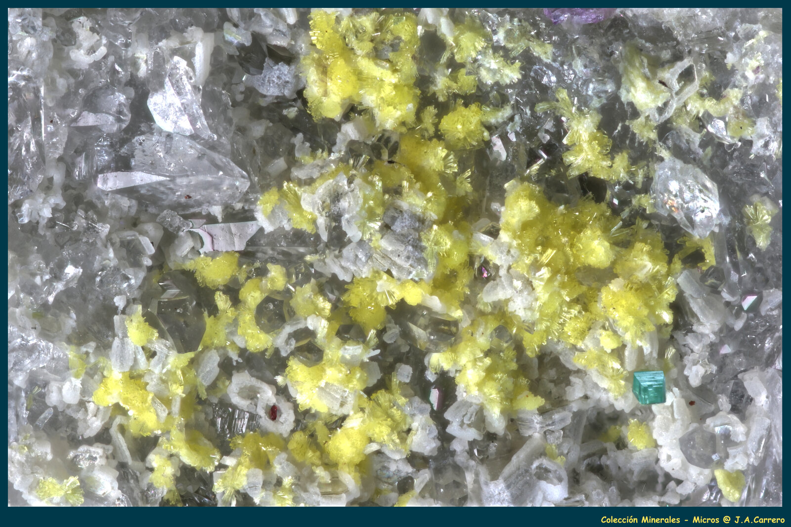 Uranofana, Torbernita
Montoso Quarries, Bagnolo Piemonte, Cuneo Province, Piedmont (Piemonte), Italy
FoV: 4 x 3 mm
(Autor: Jose Angel Carrero)