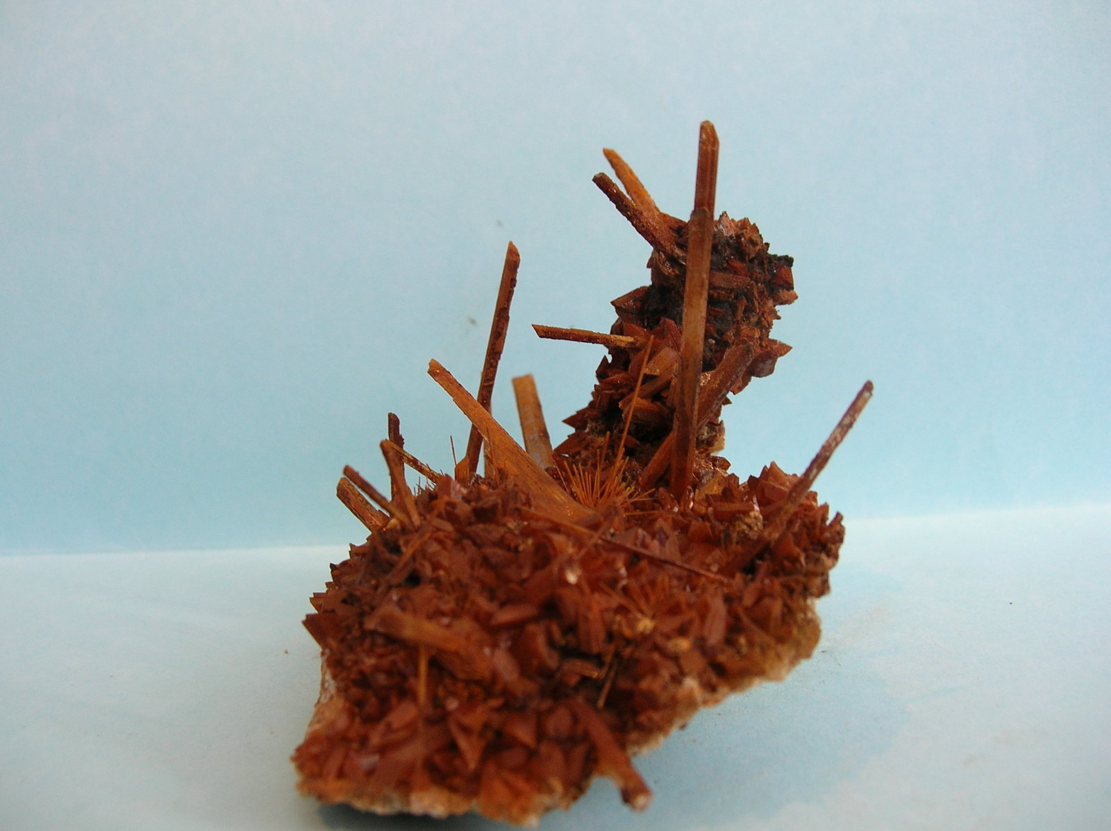 Yeso
9,5 x 6 cm
(Autor: Pedro Conesa)