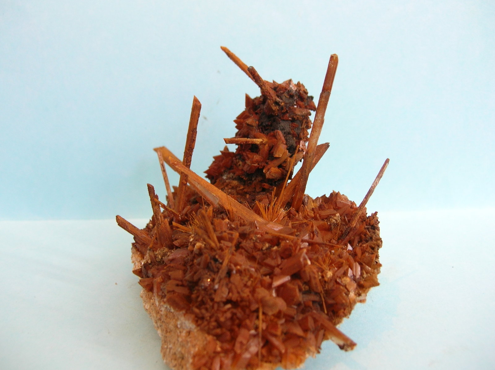 Yeso
9,5 x 6 cm
(Autor: Pedro Conesa)