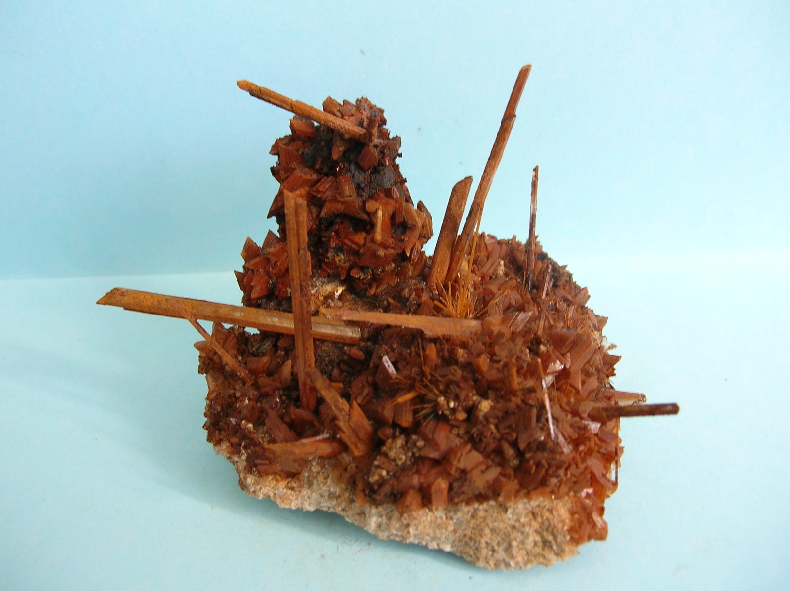Yeso
9,5 x 6 cm
(Autor: Pedro Conesa)