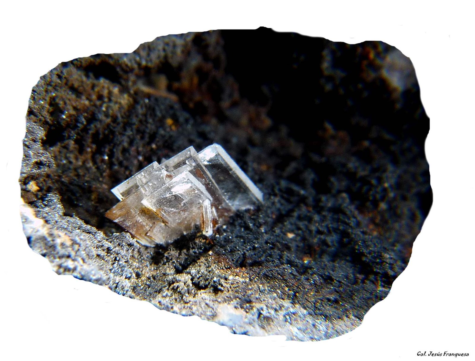 Barita.
25x18 mm.
(Autor: Jesus Franquesa Baucells)