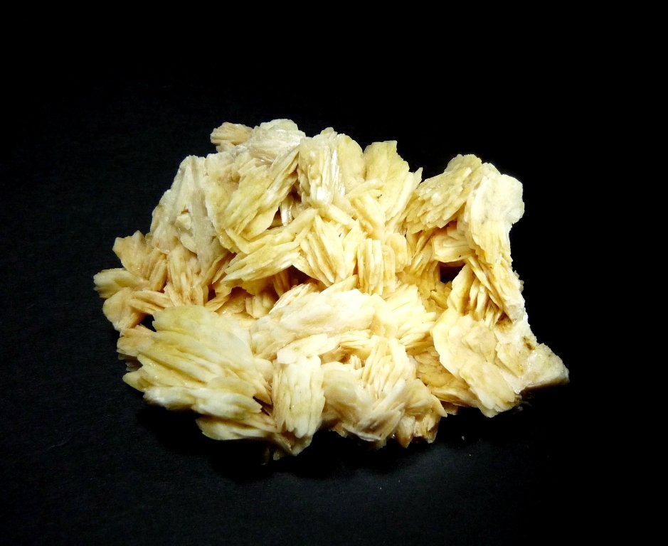 Barita
6x50 mm.
(Autor: Jesus Franquesa Baucells)