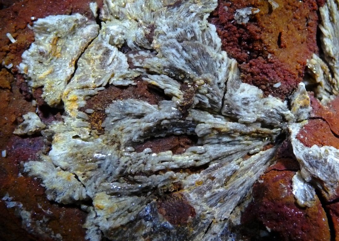 Barita y Siderita (variedad sideroplesita)
115x110 mm.
(Autor: Jesus Franquesa Baucells)