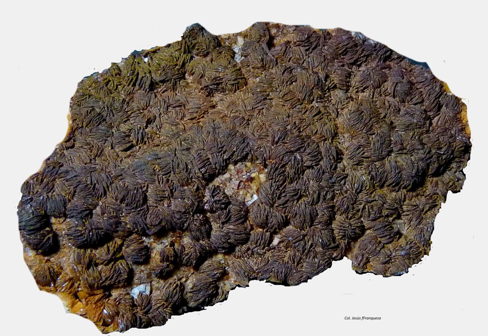 Barita y Fluorita.
84x52 mm.
(Autor: Jesus Franquesa Baucells)