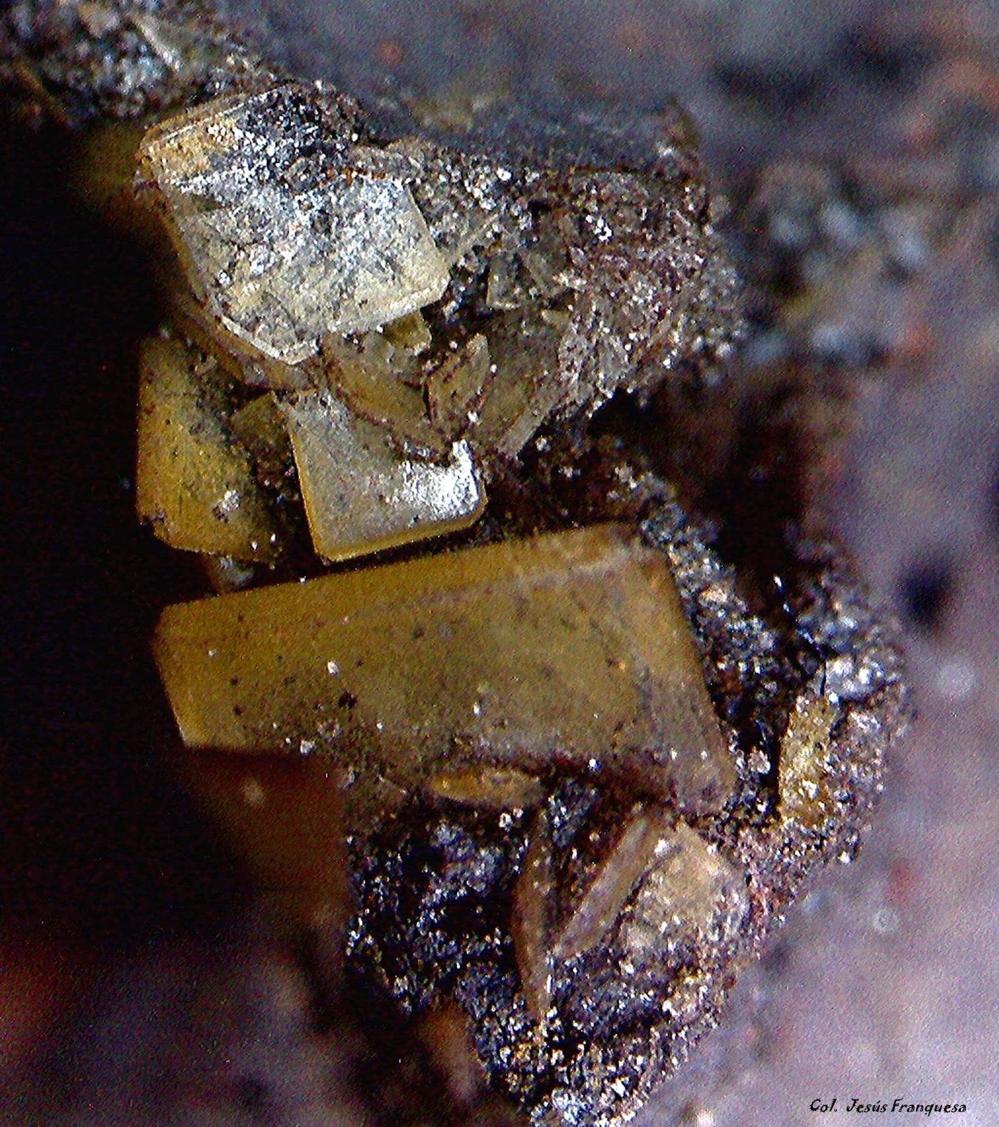 Barita.
2´31 x 2´06 mm.
(Autor: Jesus Franquesa Baucells)