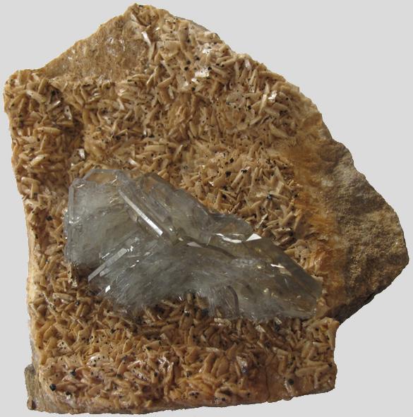 (Autor: Rafael Rueda)