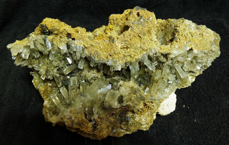Celestina
18 x 15 cm.
(Autor: pardominer)