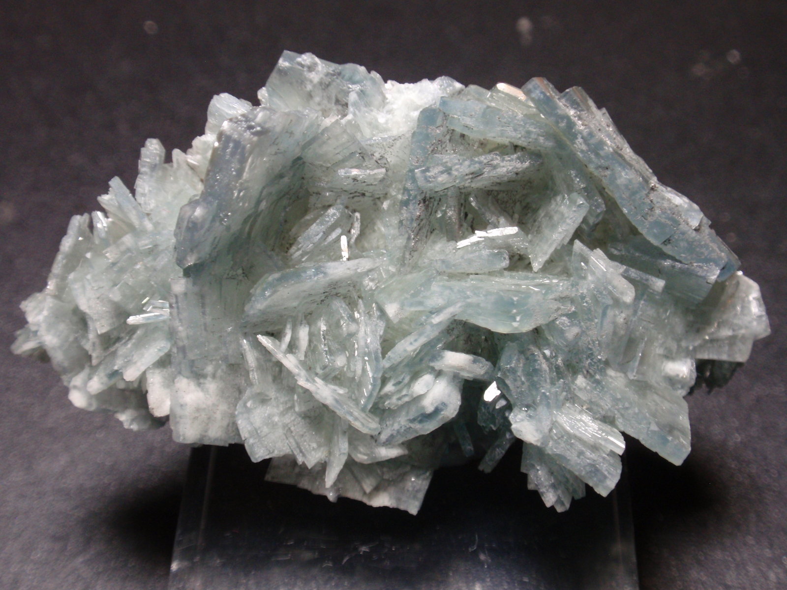 Barita
60x35 mm
(Autor: Ignacio)