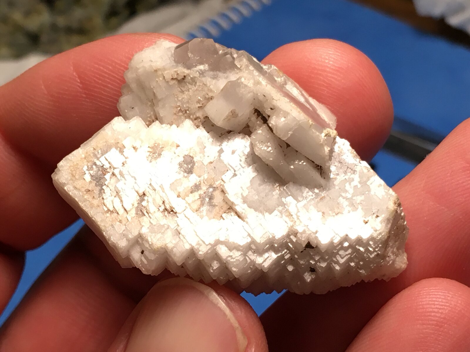 Barita
Mazarrón, Comarca Bajo Guadalentín, Region of Murcia (Murcia), Spain
4 x 3 cm
(Autor: Matias Raja)