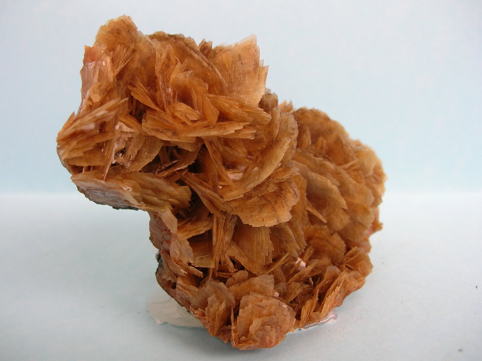 Baritina
9 x 7 cm
(Autor: Pedro Conesa)