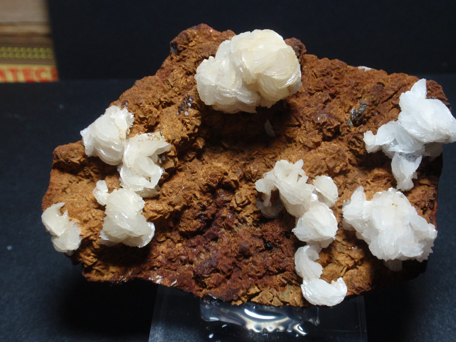 Barita [Baryte]
90x60 mm
(Autor: Ignacio)