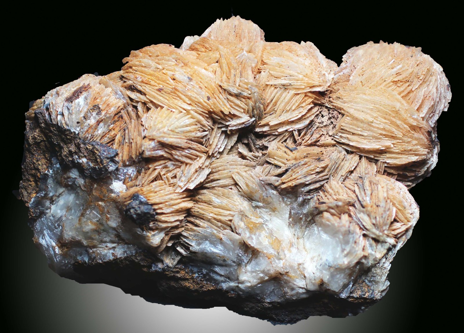 Baritina
67 x 48 x 22 mm
(Autor: José Luis Zamora)