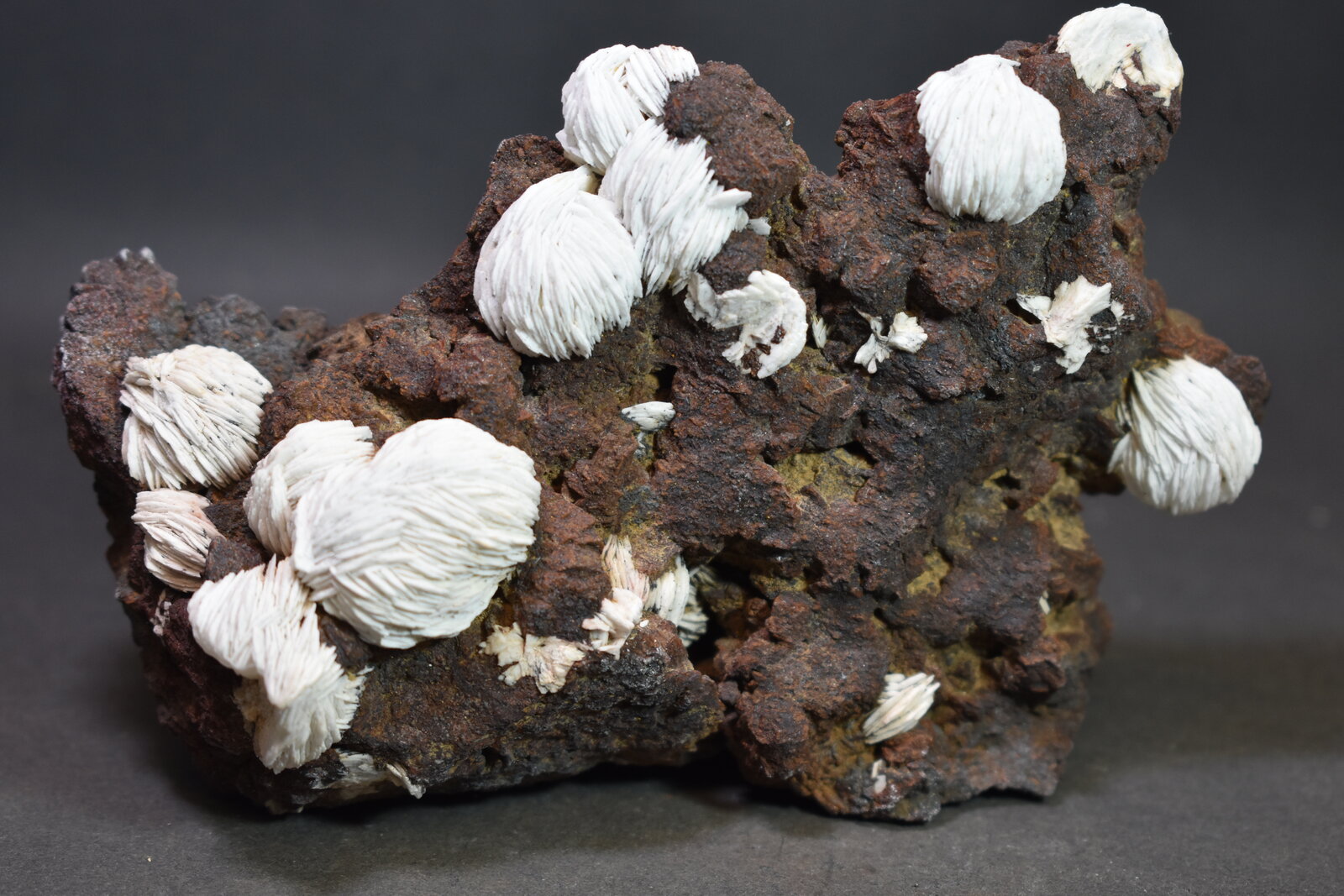 Baritina
Mina San Pedro, Sierra de Enmedio, Almendricos, Lorca, Comarca Alto Guadalentín, Región de Murcia (Murcia), España
125 x 85 mm
(Autor: Joaquin Blanco Cortina)