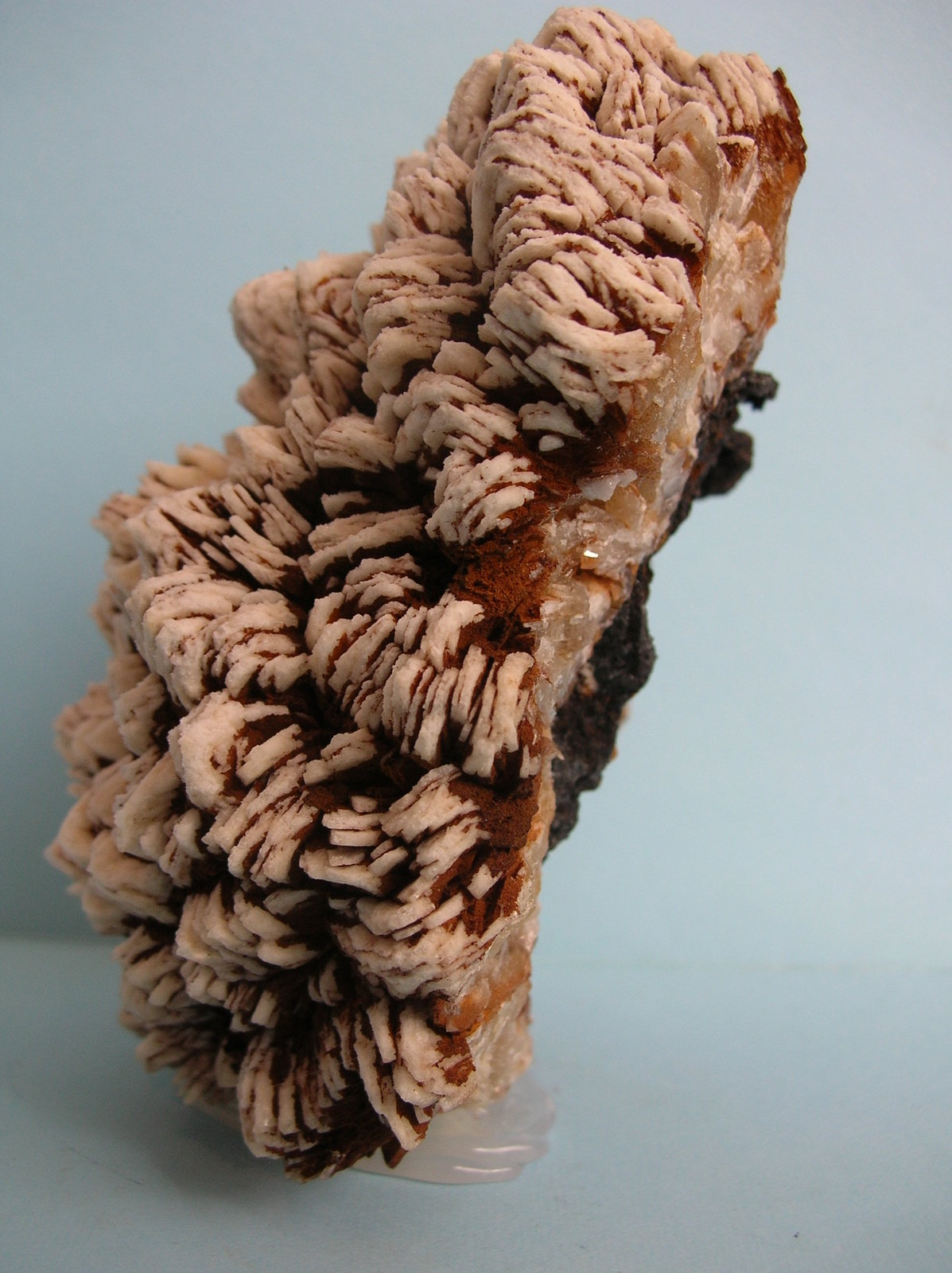 Baritina
11 x 8 cm
(Autor: Pedro Conesa)