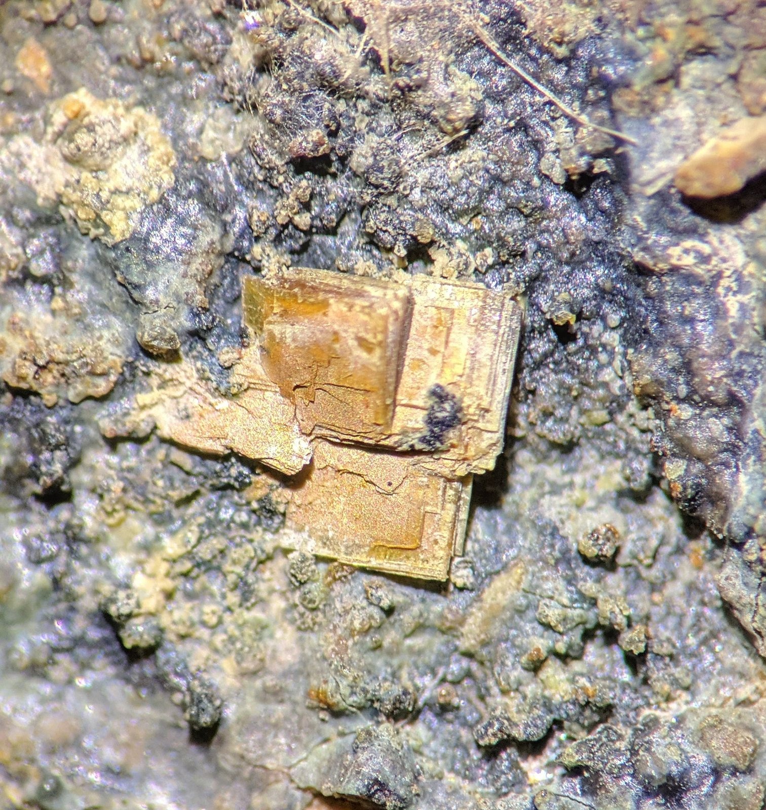 Bassetita
C.d.v. 0,7 x 0,7 cm.
(Autor: carles)