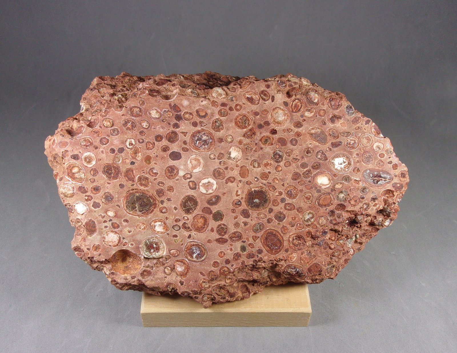 bauxita
17,5 x 12,3 x 6,4 cm.  1.415 g.
(Autor: J. G. Alcolea)