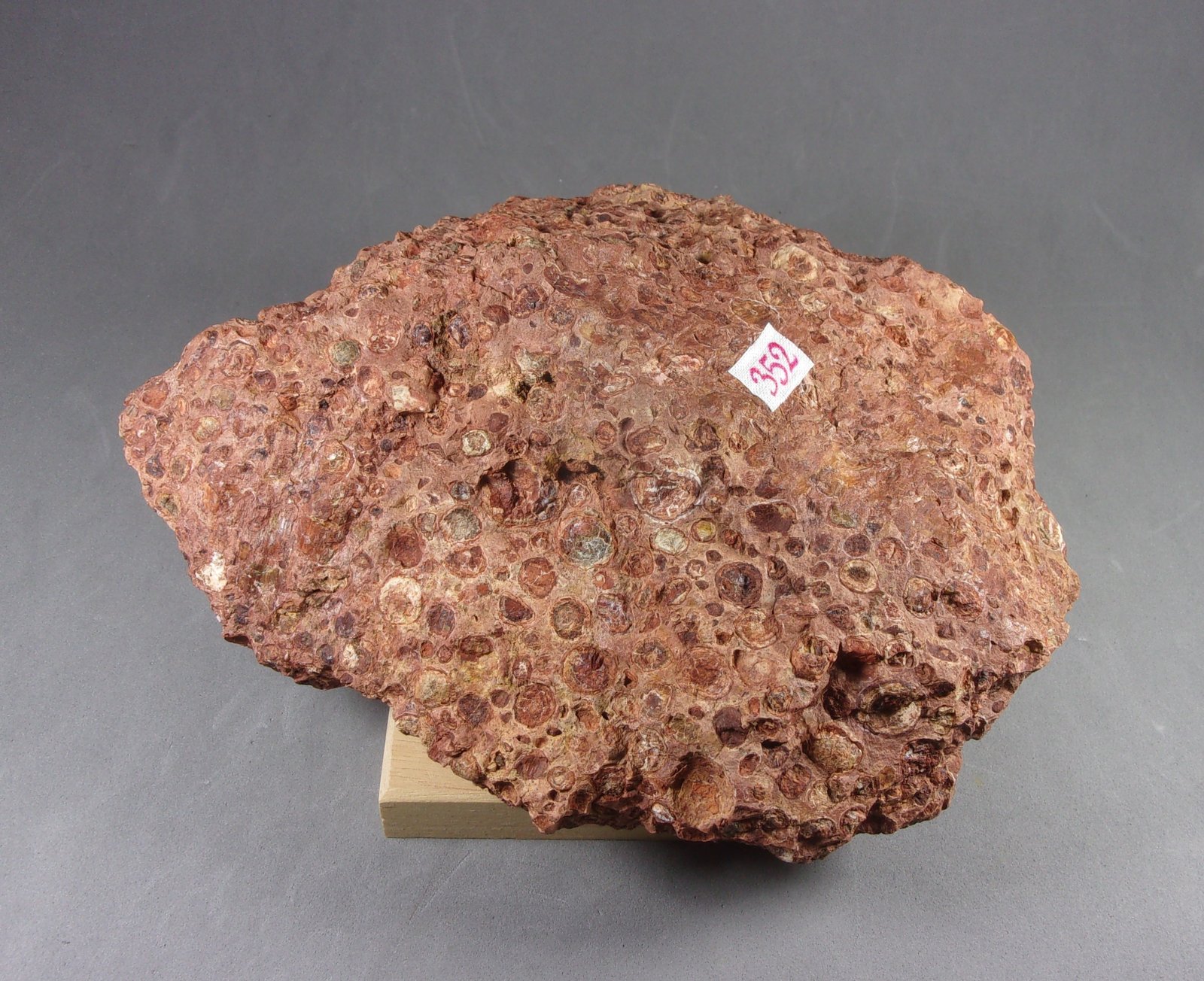 bauxita
17,5 x 12,3 x 6,4 cm.  1.415 g.
(Autor: J. G. Alcolea)