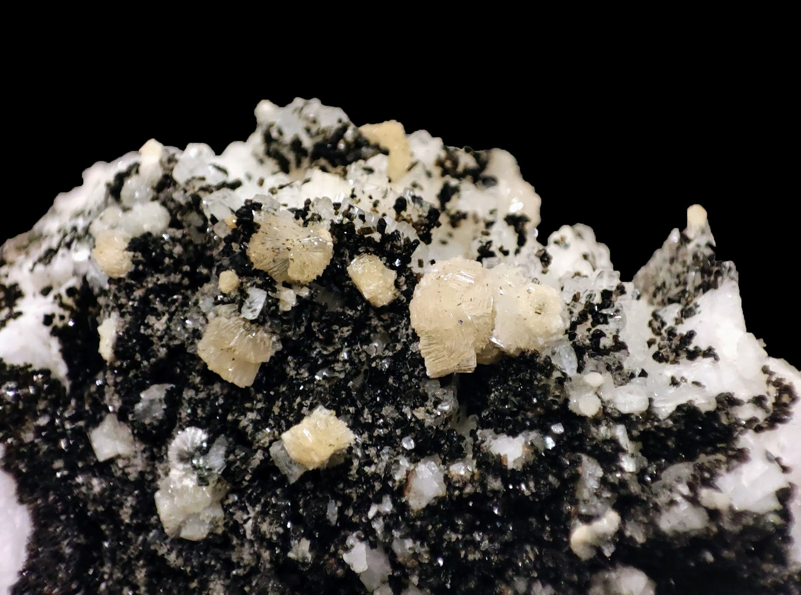 Bavenita, Clorita, Microclina, Cuarzo
6,4 x 3,8 x 2,7 cm
(Autor: carles)