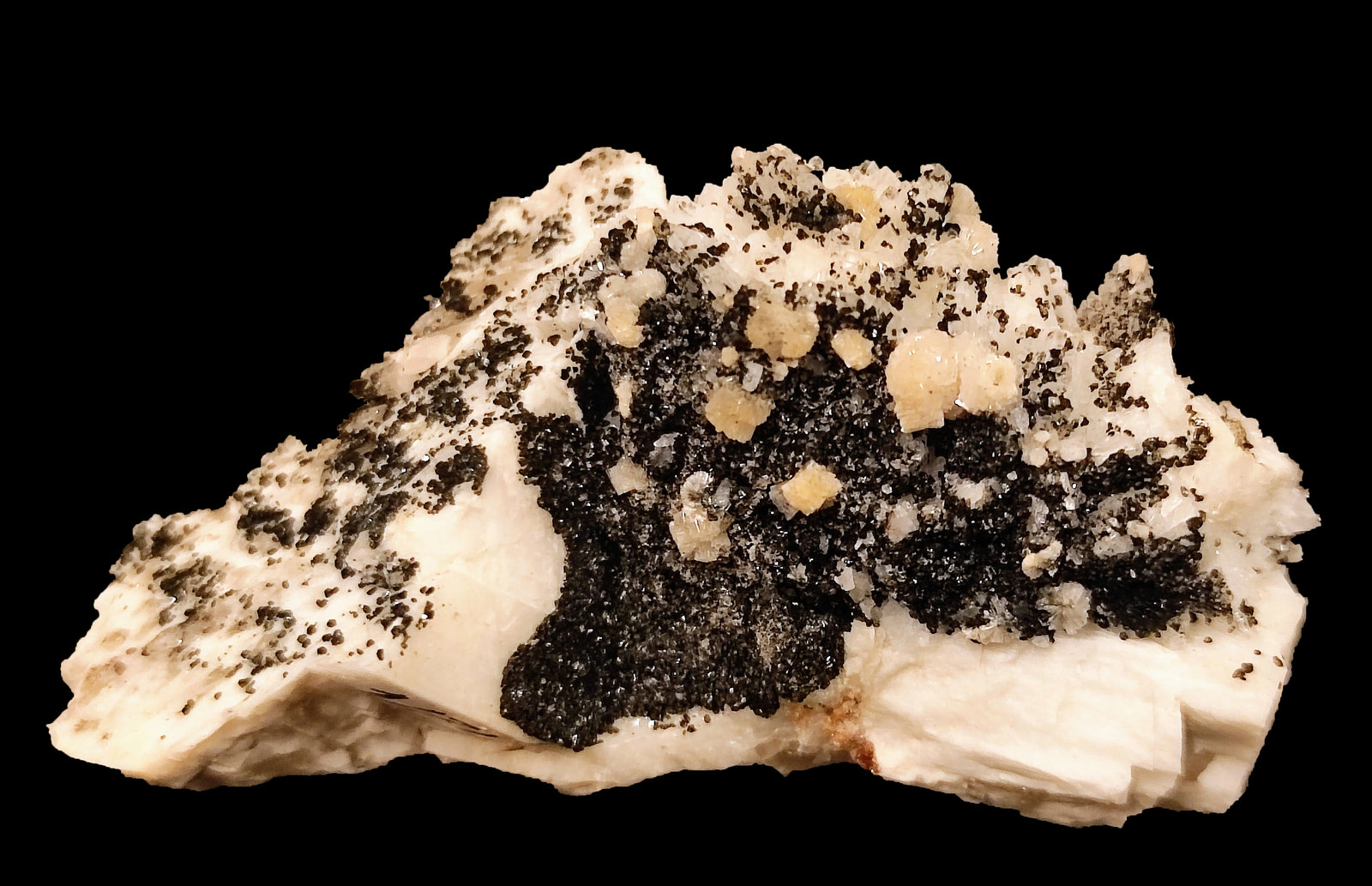 Bavenita, Clorita, Microclina, Cuarzo
6,4 x 3,8 x 2,7 cm
(Autor: carles)